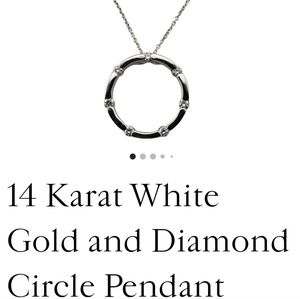 14 Karat White Gold and Diamond Circle Pendant Necklace preloved